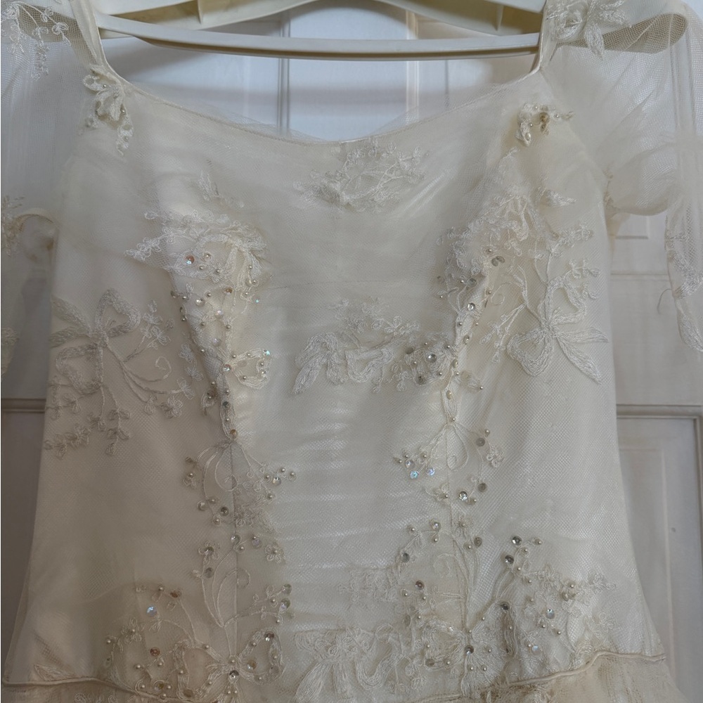 Vintage intricate Ivory Lace Tulle Ball Gown Wedding Dress - Picture 9 of 11